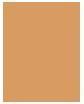 Image du produit Estée Lauder Pure Color (3W1 Tawny)