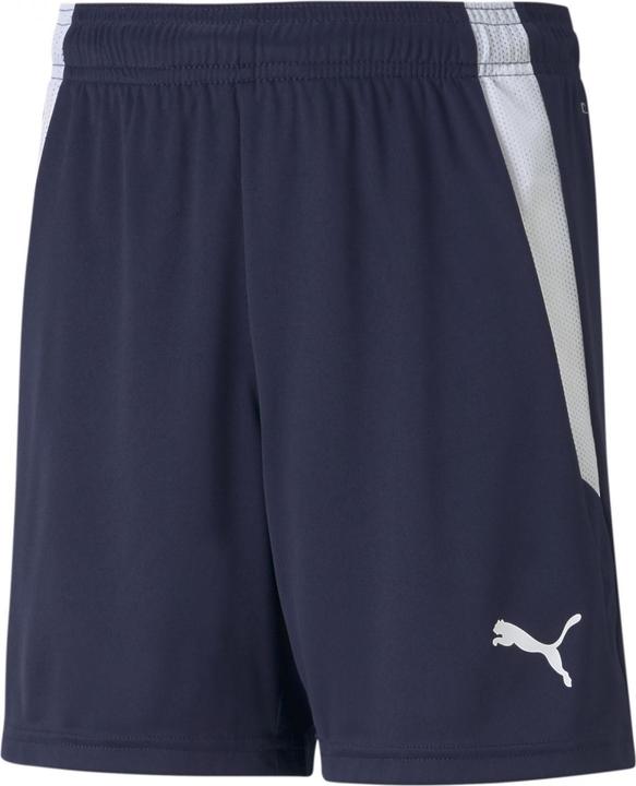 Puma teamLIGA Shorts Jr-704931
