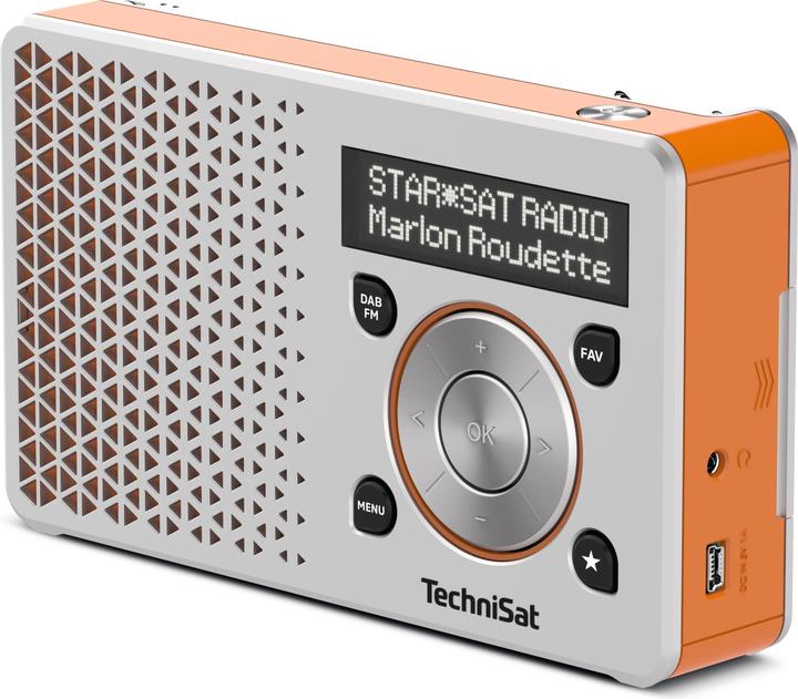 Actual product image TechniSat DigitRadio 1 (DAB+, FM)