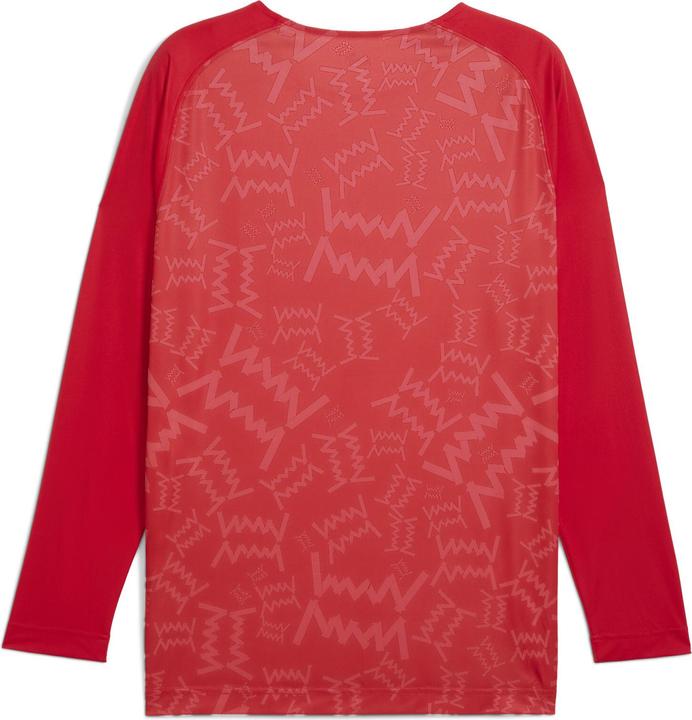 Actual product image Puma teamJAWS Graphic LS Shooting Shirt (L)