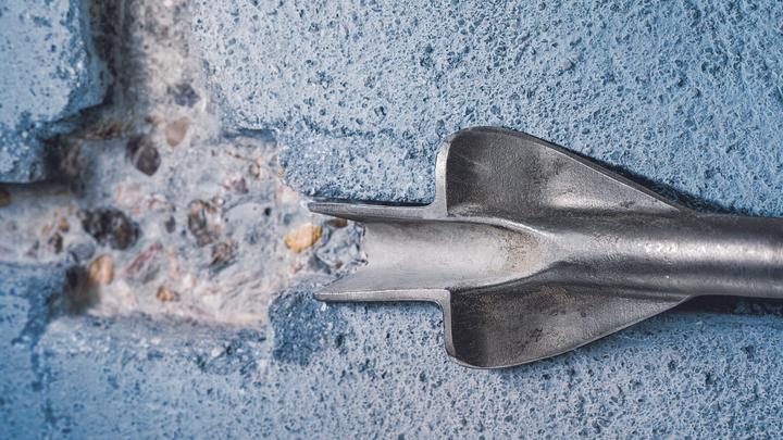 Actual product image Bosch Professional Zubehör PRO SDS plus Winged Gouging, 22 x 250 mm (22 mm)