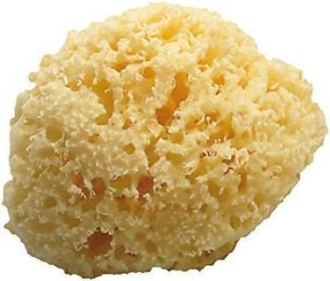 Immagine prodotto Koh-i-Noor Spugna da bagno naturale 4-5 cm