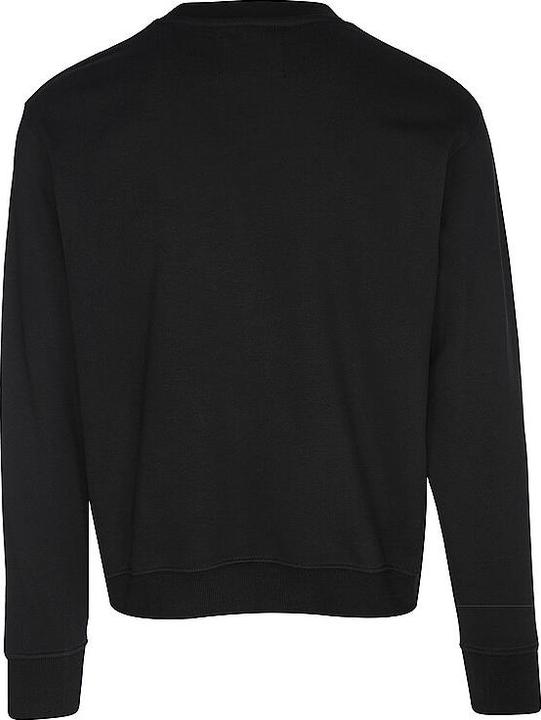 Immagine prodotto Replay Sweater (L)