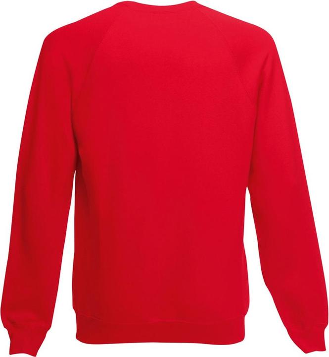 Actual product image Fruit of the Loom Belcoro® pullover sweatshirt (L)
