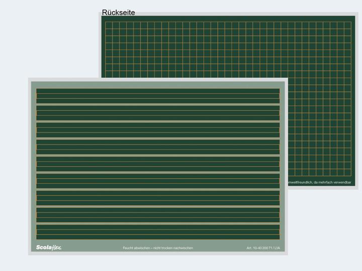 Actual product image Staufen Scolaflex board L1