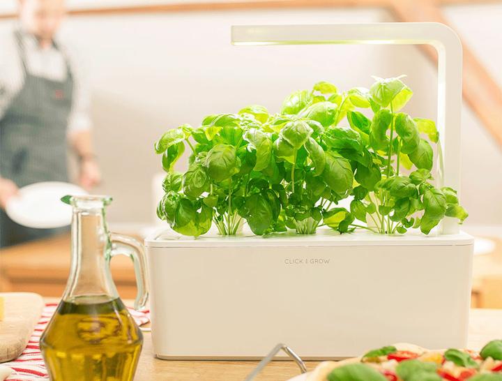 Actual product image Click and Grow Smart Garden (31.50 cm)