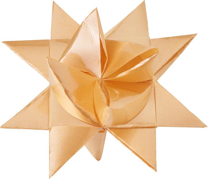 Produktbild Gebrüder Bertels Papierstreifen "Outdoor, Gold", 25 mm, 16 Streifen (16 x)