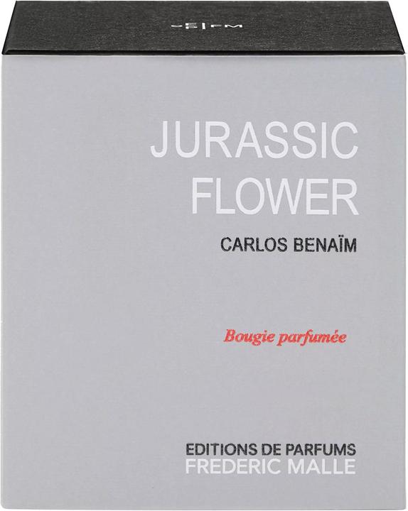 Image du produit Frédéric Malle Ligne Maison /Bougie- Fleur jurassique (220 g)