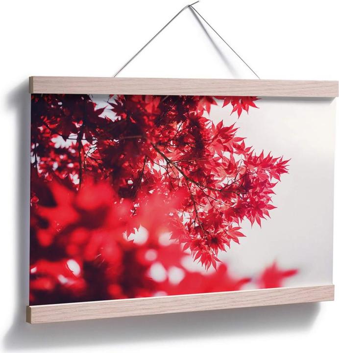 Image du produit Trenddeko Érable en automne (60 x 40 cm)