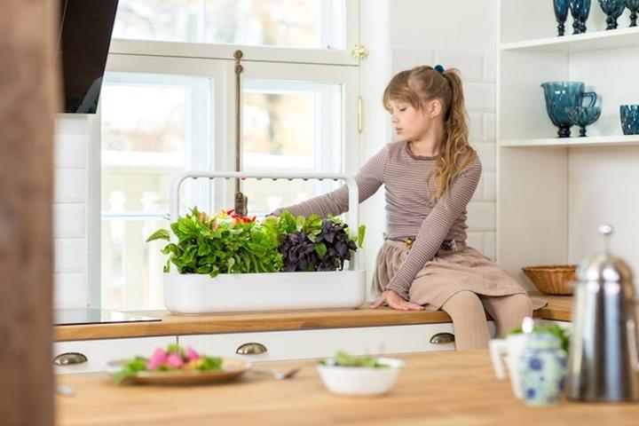 Actual product image Click and Grow Smart Garden 9 (62.50 cm)