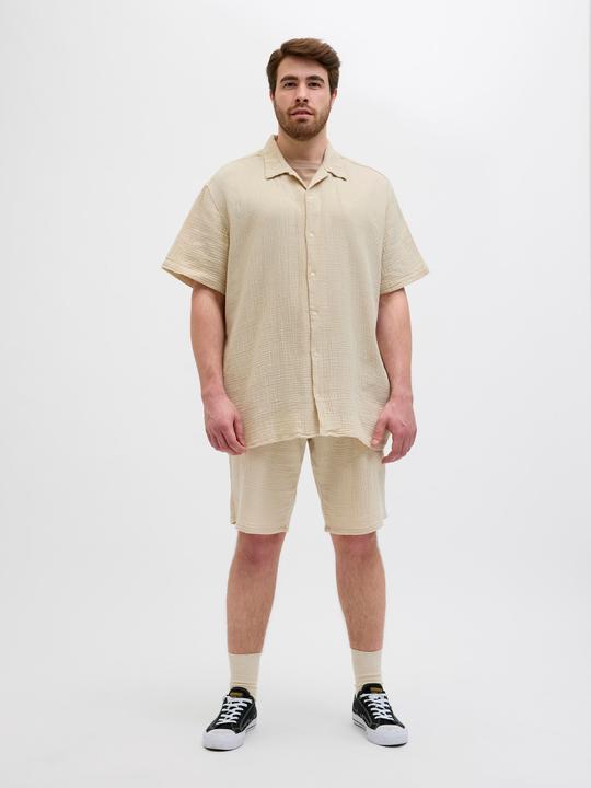 Immagine prodotto Jack & Jones Plus Size Loose Fit Relaxed Fit Shorts Relaxed Fit Shorts (42)