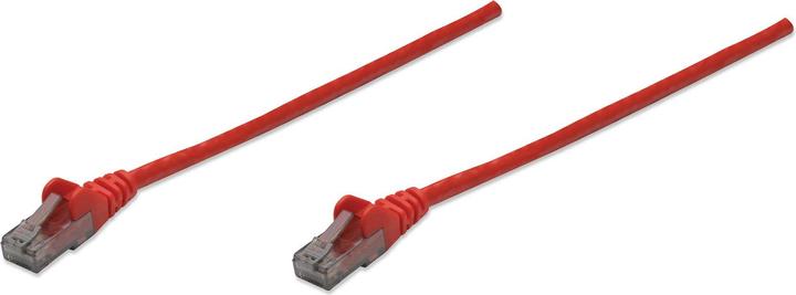Rot