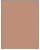 Actual product image Shiseido Synchro Skin Self-Refreshing - Liquid Concealer Light 203 (Nude)
