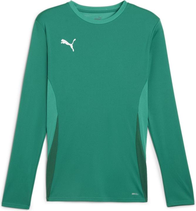 Actual product image Puma TeamGoal (M)