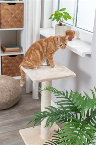 Actual product image Trixie Krabpaal Baena Beige (69 cm, Beige)