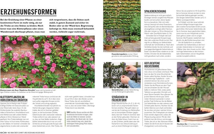 Produktbild Grünes Gartenwissen. Pflanzen richtig schneiden (Deutsch, Reinhard Ferstl, Stephanie Mahon, DK Verlag, 2022)