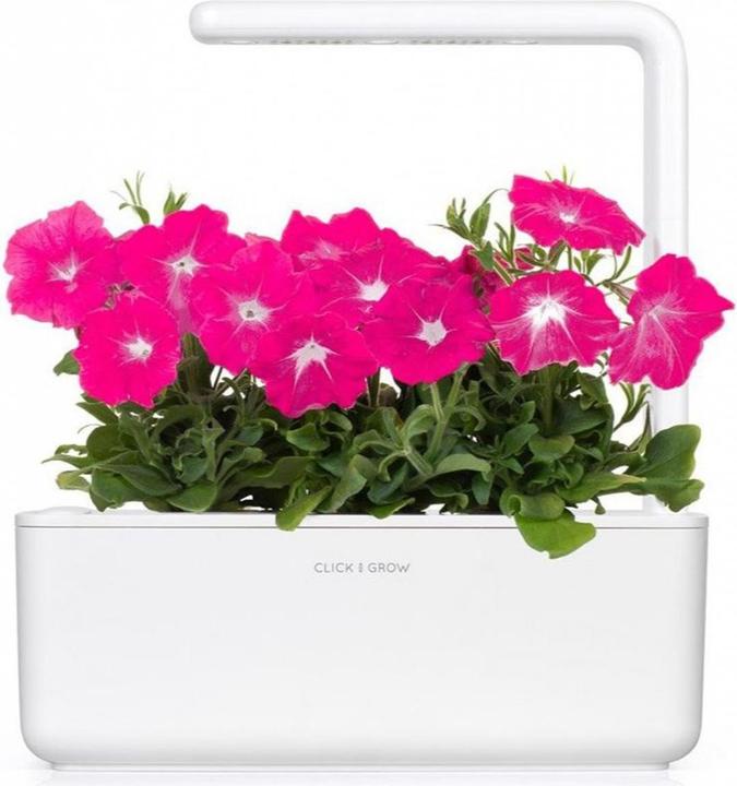 Produktbild Click and Grow Saatgut Pinke Petunie 3er-Pack (Pflanzensamen)