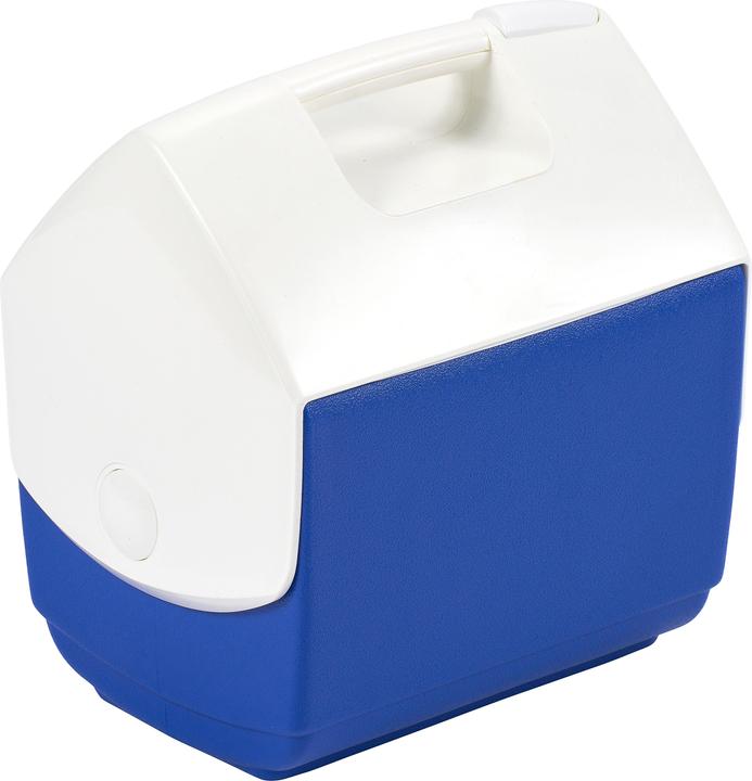 Image du produit Igloo petite boîte à glace pour moniteur (6 l)