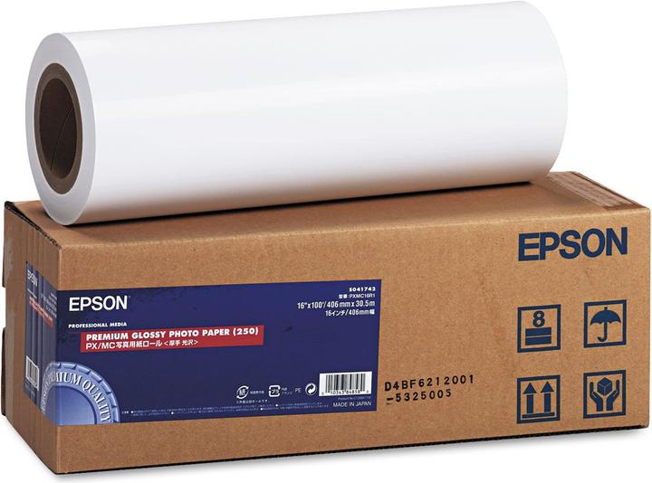 Epson S041742 (260 g/m², 1 x)