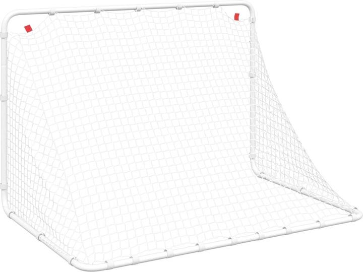 Image du produit VidaXL But de football