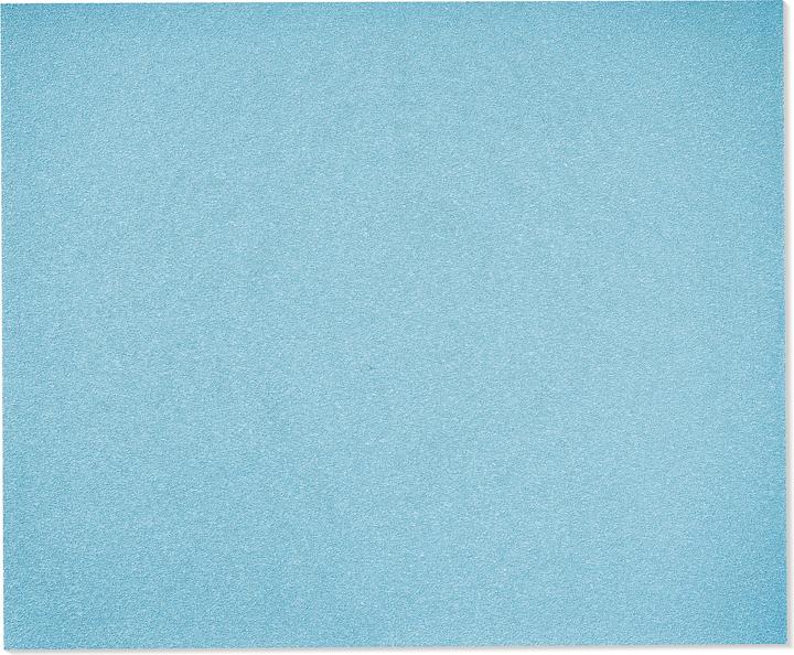 Festool Sandpaper (P120)