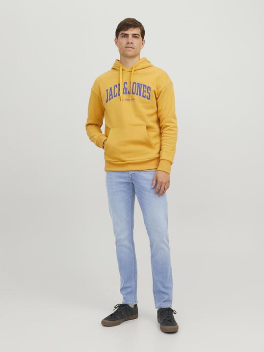 Produktbild Jack & Jones Glenn (W32/L32)