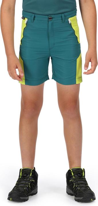 Produktbild Regatta Sorcer II Shorts (170)