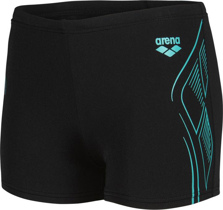Arena B Reflecting Swim Short (164)