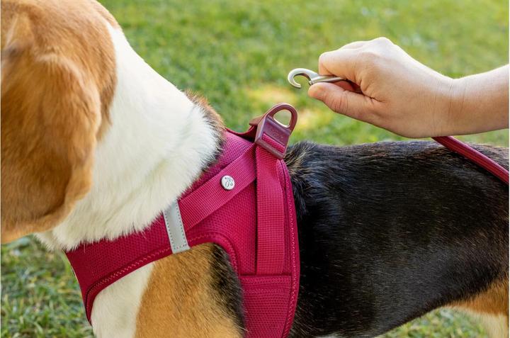 Produktbild Curli Vest Air-Mesh (XXS, Hund, Allgemein)