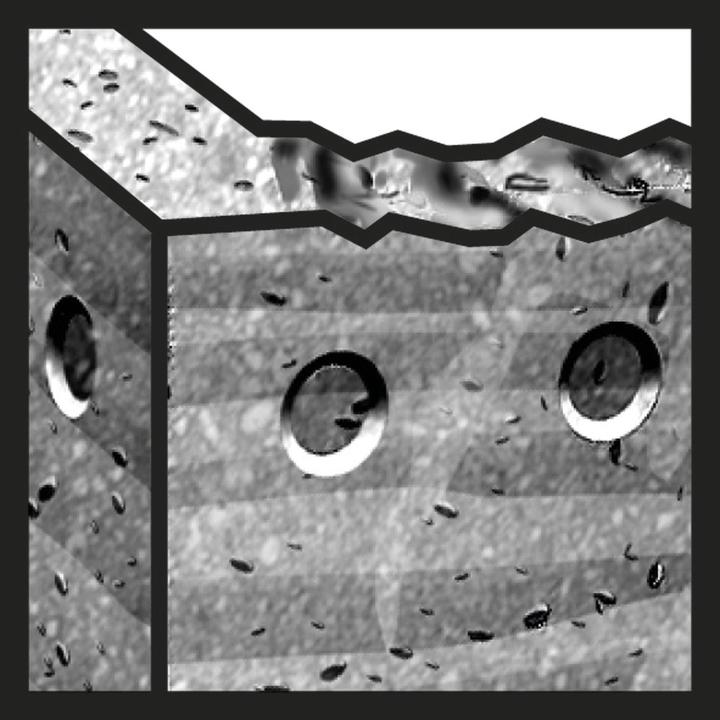 Image du produit Bosch Professional Zubehör Foret à béton CYL-5, Blue Granite, 4 x 50 x 90 mm (4 mm)