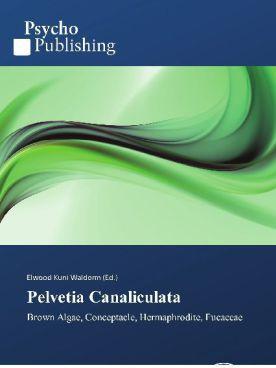 Actual product image Pelvetia Canaliculata (Elwood Kuni Waldorm, 2011)