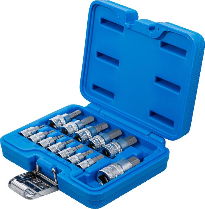 Actual product image BGS Bit insert set (2 mm, 2.5 mm, 3 mm, 4 mm, 5 mm, 5.5 mm, 6 mm, 7 mm, 8 mm, 9 mm, 10 mm (hexagon socket), 12.0 mm, 10mm)