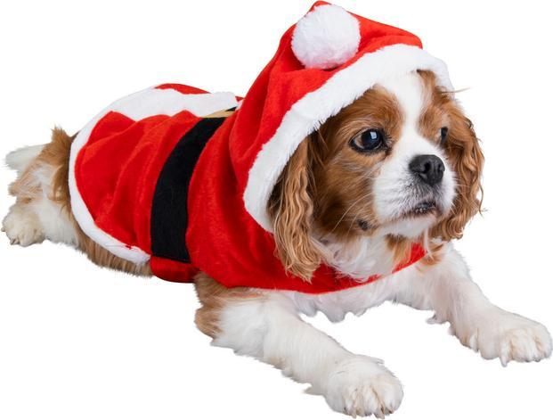 Produktbild Mica Pets Hundezubehör - Hundekostüm Nikolaus - ca. 30 cm (M, L, Hundekostüm)