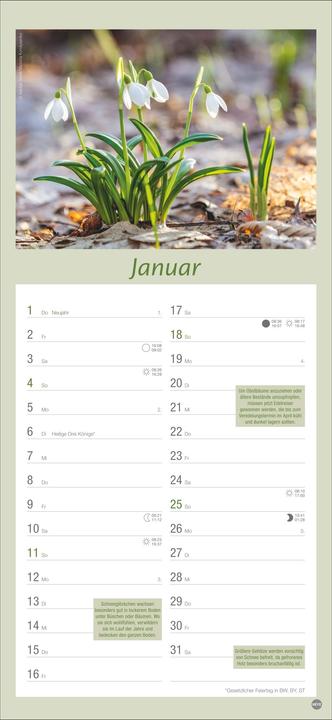 Produktbild Gartenplaner 2026 (Harter Einband, Deutsch)