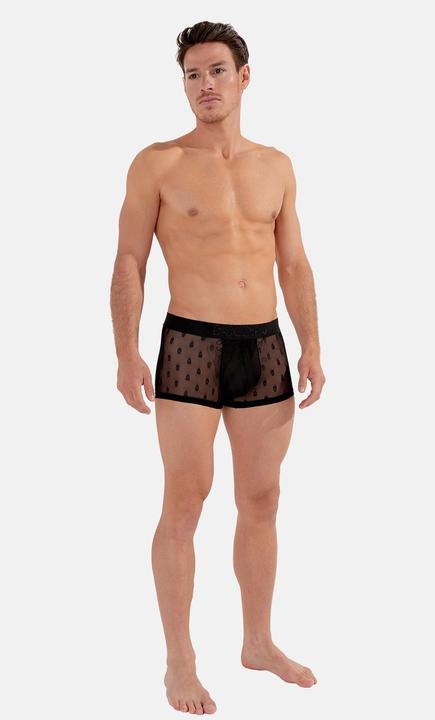 Immagine prodotto HOM Trunk Dark (XL, Confezione singola)