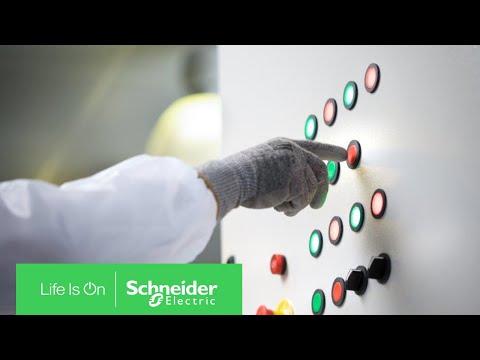 Actual product image Schneider Electric Push-button illuminable green