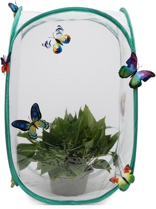 Image du produit Hyindoor Cage d'habitat pour insectes et papillons