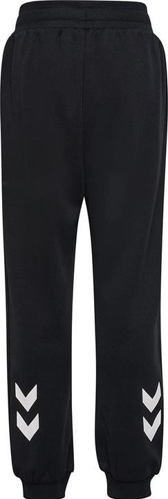Actual product image hummel Dbu Track Suit Pants (146)