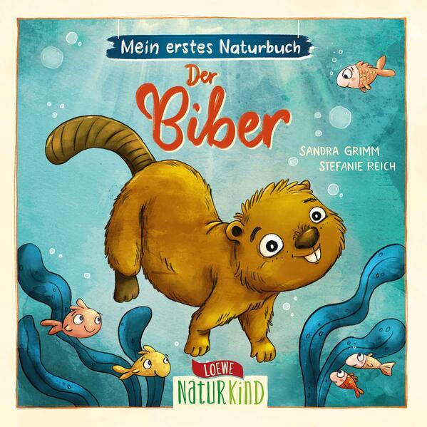 Produktbild Loewe Mein erstes Naturbuch - Der Biber (Deutsch)
