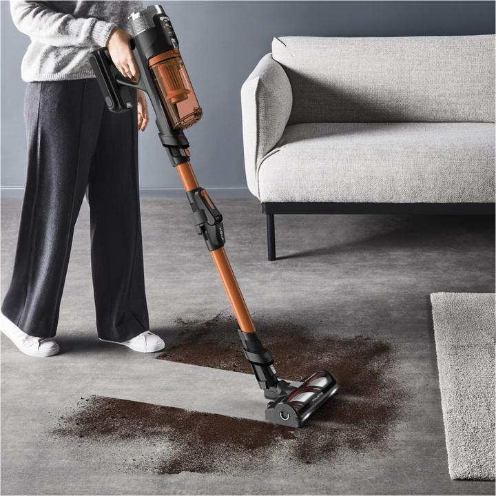 Actual product image Rowenta XForce Flex 13.60 Anniversary