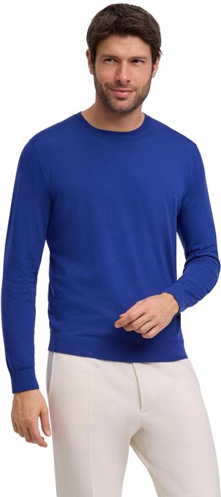 Falke Herren (S)