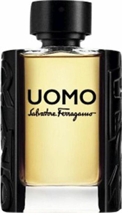 Actual product image Salvatore Ferragamo S. Ferragamo Uomo Pour Homme Edt Spray (Eau de toilette, 100 ml)
