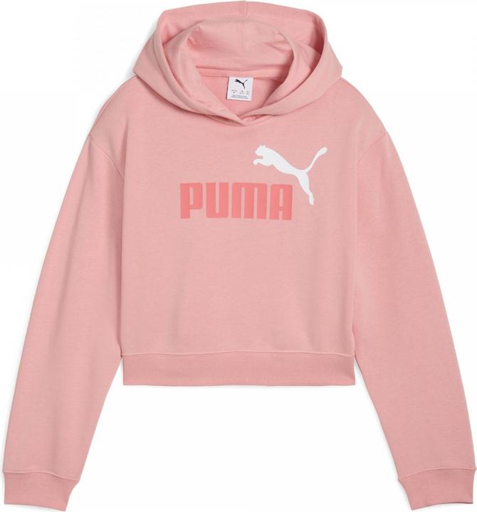 Immagine prodotto Puma ESS 2 COLOR No. 1 Logo Felpa con cappuccio corta TR G (152)