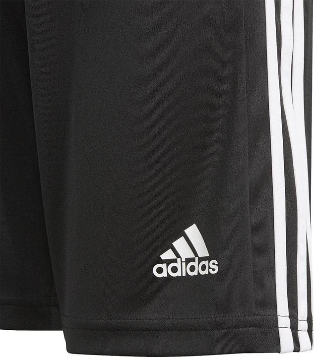 Image du produit adidas Squadra 21 Short Enfants (116)