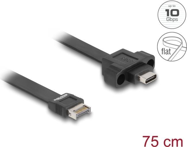 Actual product image Delock USB 10Gbps ribbon cable type-E Key A 20 pin ST > USB-C BU installation 0.75m (0.75 m, USB 3.2 Gen 2)