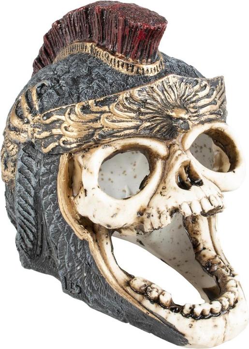 Produktbild EBI Aqua Della Skull Roman (sonstige Gegenstände)