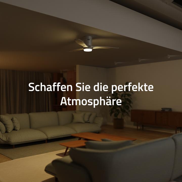 Actual product image Hombli Deckenventilator mit Licht (43 dB)