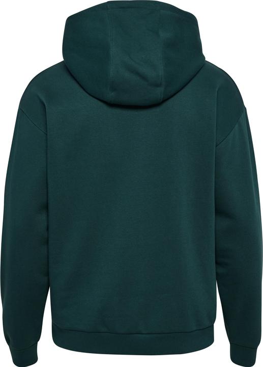 Actual product image hummel Hmlloose Hoodie Sportswear (L)