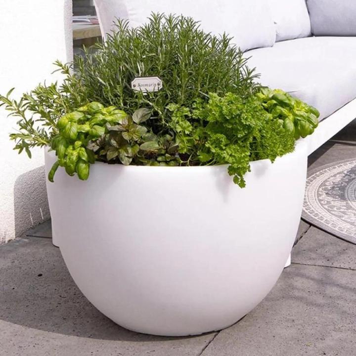 Actual product image 8 seasons design Shining Curvy Pot (59 cm)