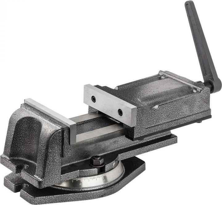 Produktbild Dema Präzisionsmaschinen Schraubstock Werkbankschraubstock 125mm mit Spindelantrieb (105 mm)